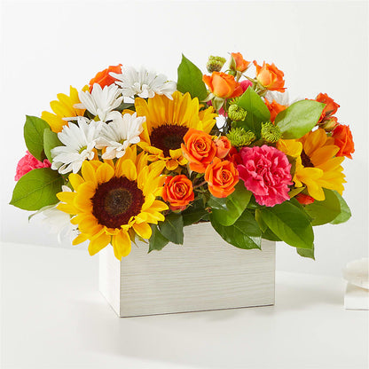 Sun-drenched Blooms Box Bouquet